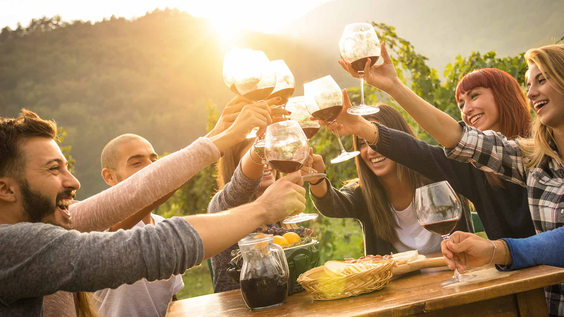 Friends drinking wine